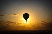 photos_terra