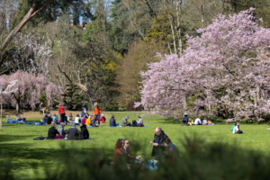 parc-oriental-maulévrier-hanami-2023
