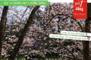 Hanami