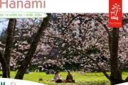 Hanami