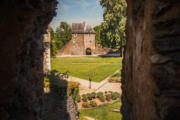 photos_terra
