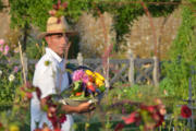 photos_terra