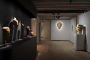 photos_terra