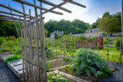 photos_terra