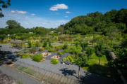 photos_terra